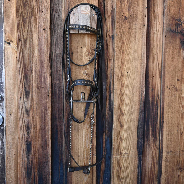 Vintage Spotted Bridle Rig