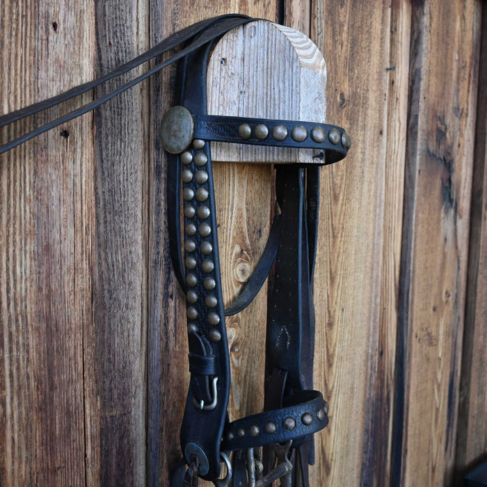 Vintage Spotted Bridle Rig