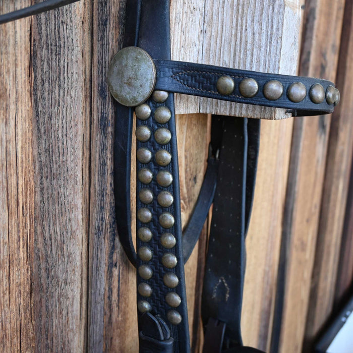 Vintage Spotted Bridle Rig