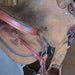 14" USED TRENT WARD RANCH SADDLE Saddles - Used Trent Ward