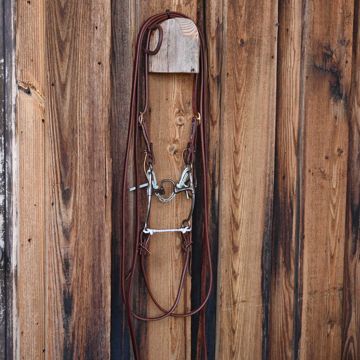 Silver Mesa Correction Bridle Rig w/All New Leather