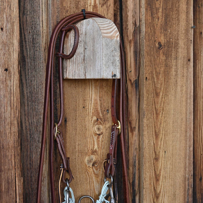 Silver Mesa Correction Bridle Rig w/All New Leather