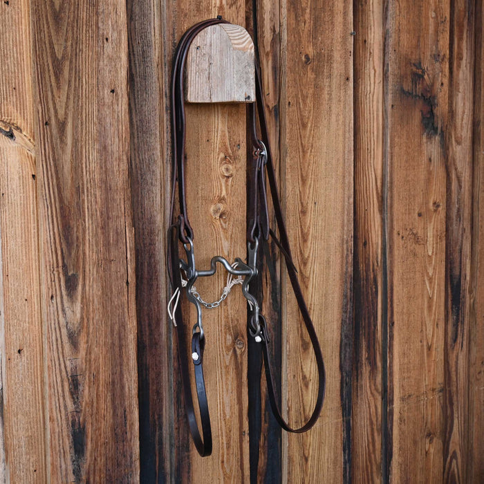 Gordy Alderson Solid Port Bridle Rig w/All New Leather