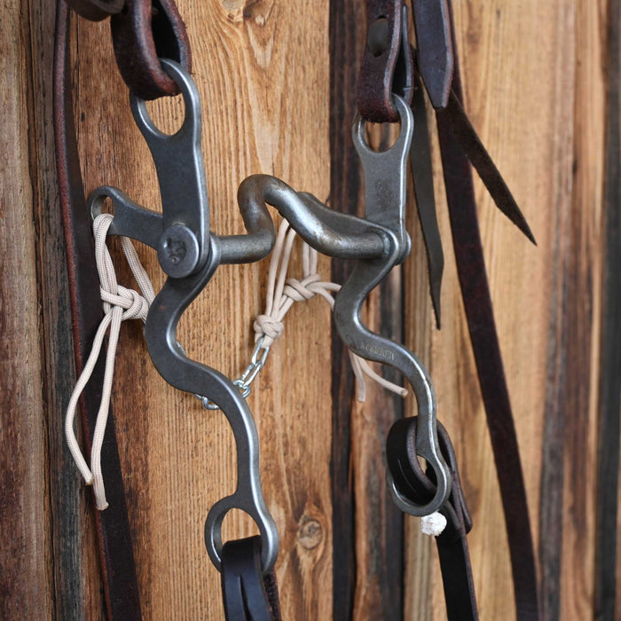 Gordy Alderson Solid Port Bridle Rig w/All New Leather