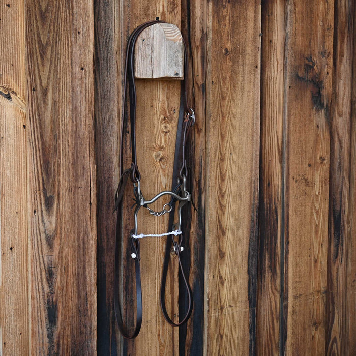 Gordy Alderson Solid Port Bridle Rig w/All New Leather