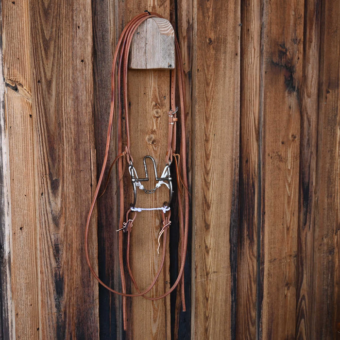 Jim Edwards Cathedral Bridle Rig w/All New Leather
