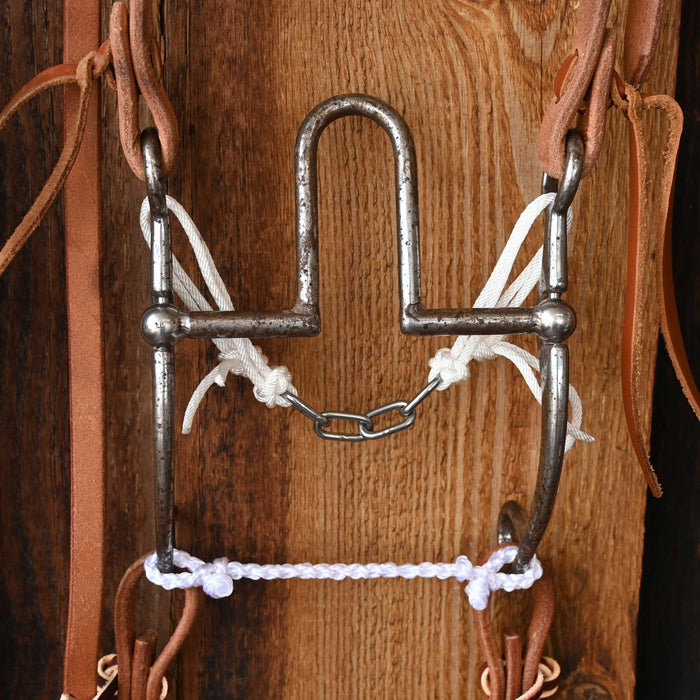 Jim Edwards Cathedral Bridle Rig w/All New Leather