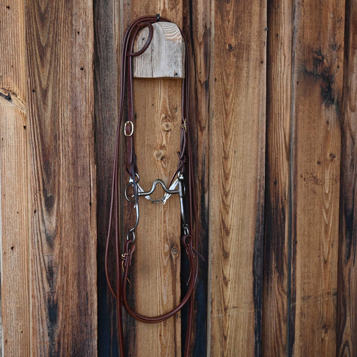 Kerry Kelley V-Port Bridle Rig w/All New Leather