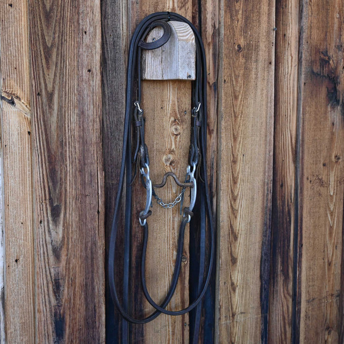 Daryl Davis Solid Port Bridle Rig w/Single Ear Headstall