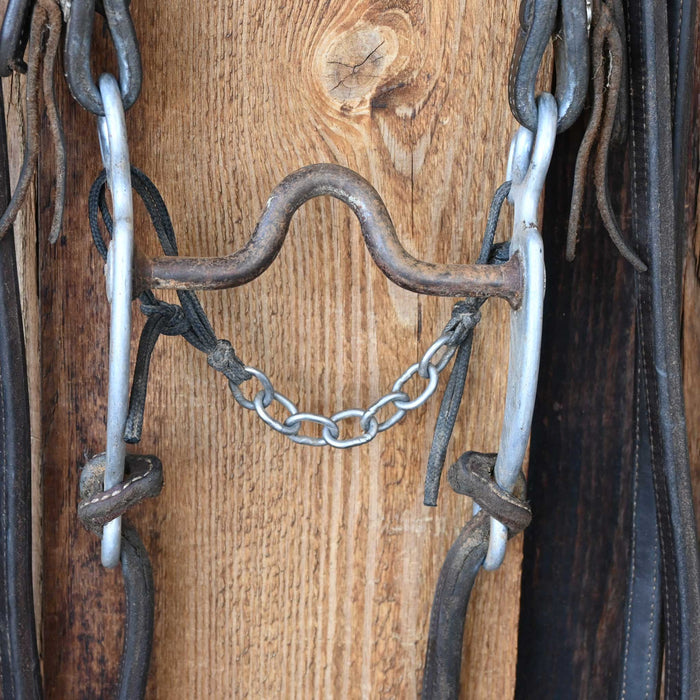Daryl Davis Solid Port Bridle Rig w/Single Ear Headstall
