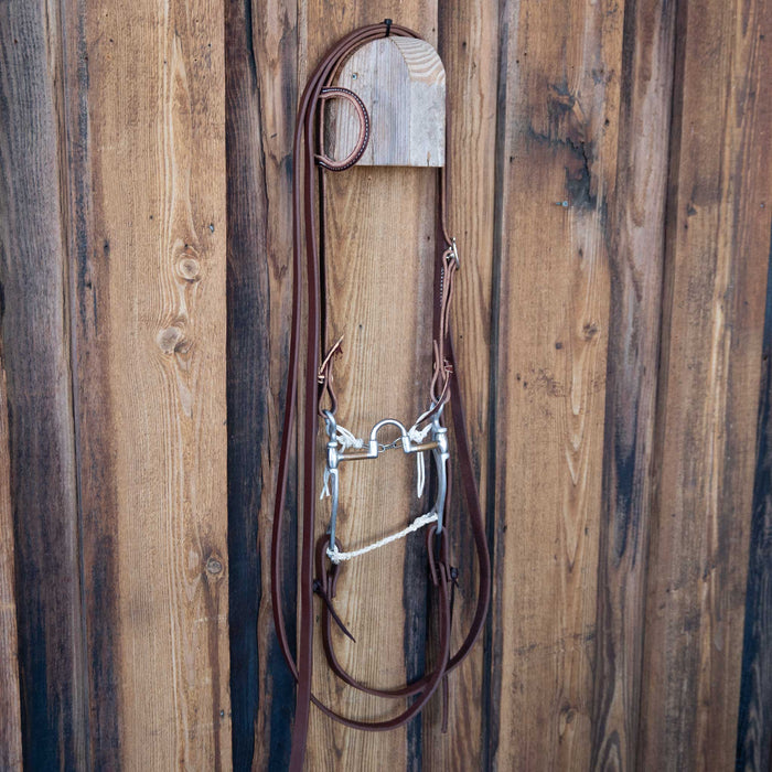 FG Correction Bridle Rig w/Single Ear Headstall