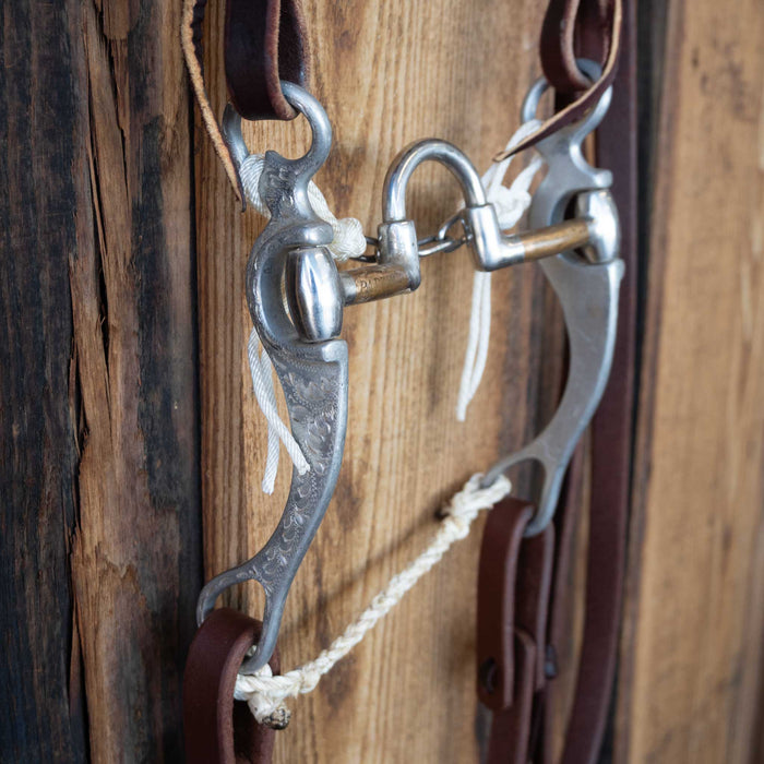 FG Correction Bridle Rig w/Single Ear Headstall