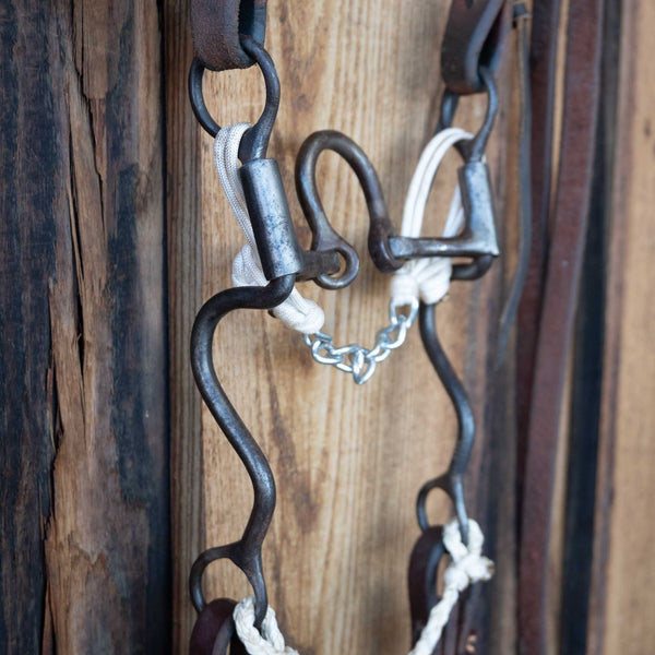 Headstalls & Rigs
