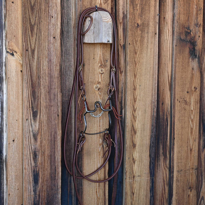 Daryl Davis Solid Port Bridle Rig w/Single Ear Headstall