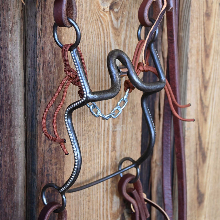 Daryl Davis Solid Port Bridle Rig w/Single Ear Headstall