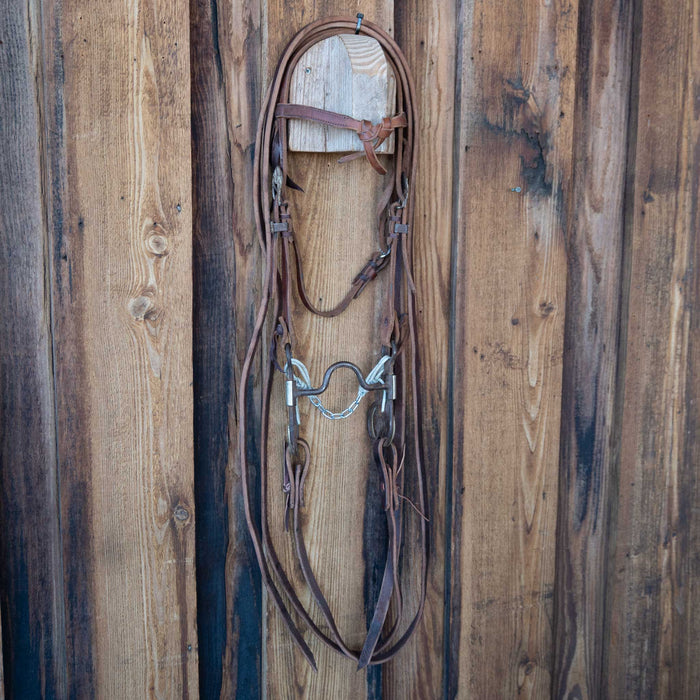 Solid Port Bridle Rig w/Browband Headstall