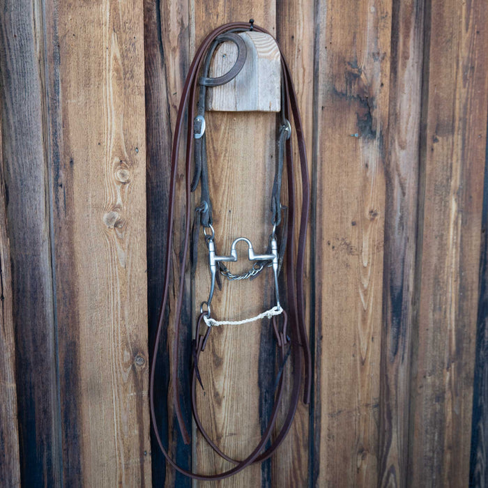 Bill Freeman Correction Bridle Rig w/Single Ear Headstall