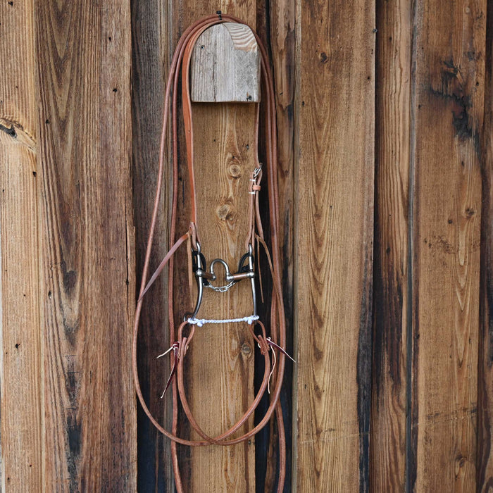 Kerry Kelley 65 20 Correction Bridle Rig w/All New Leather