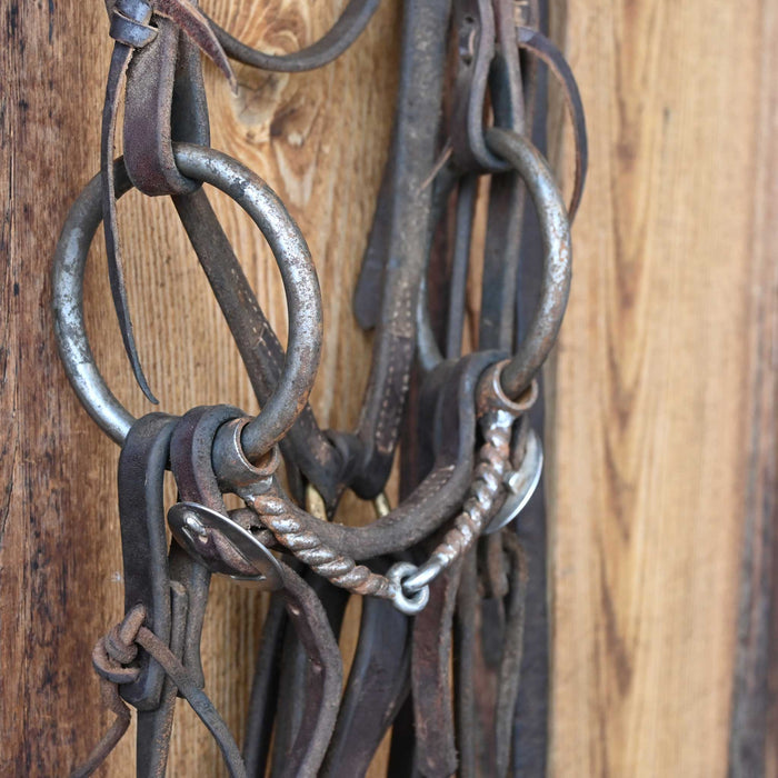 Kerry Kelley O-Ring Twisted Wire Snaffle Bridle Rig w/Martingale
