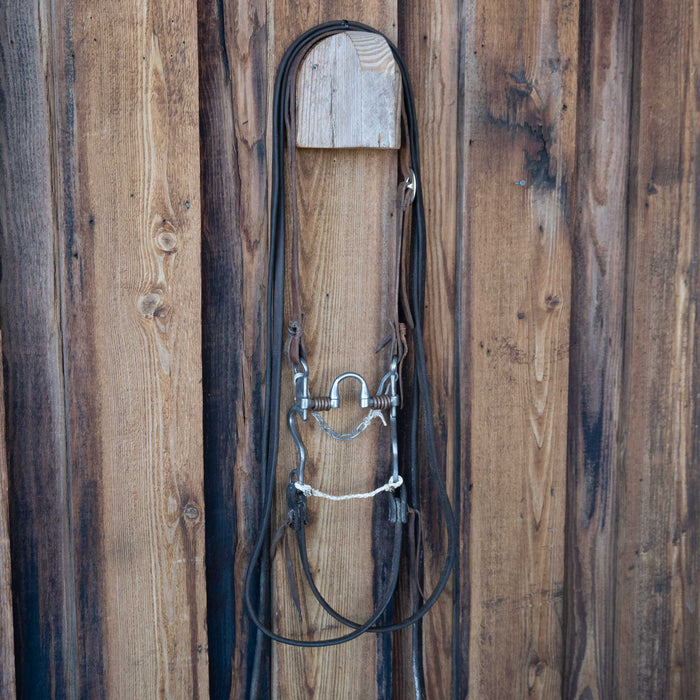 Josh Ownbey Correction Bridle Rig w/Split Ear Headstall