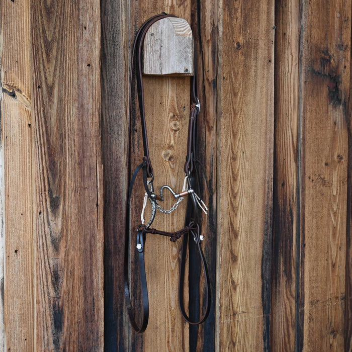 Kerry Kelley Silver Mounted Correction Bridle Rig w/All New Leather