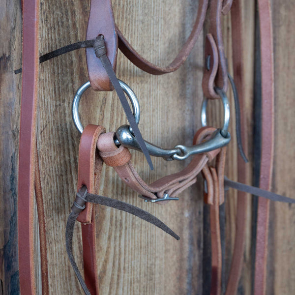 Headstalls & Rigs