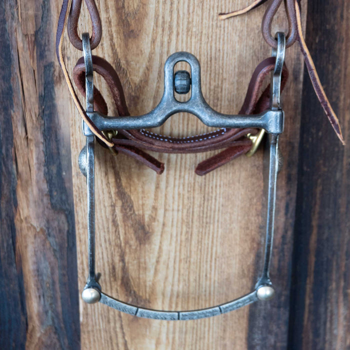 Professional's Choice Avila Cathedral 1/2 Bridle Rig