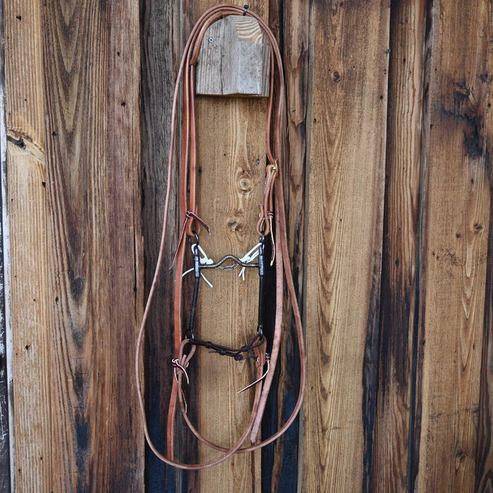 Greg Darnell Solid Port Bridle Rig w/All New Leather
