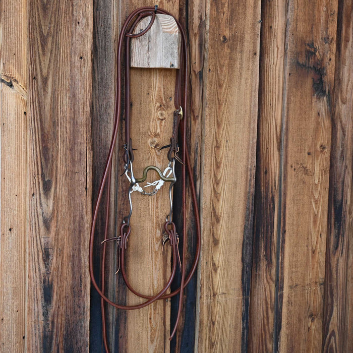 Roy Brass Port Bridle Rig w/All New Leather