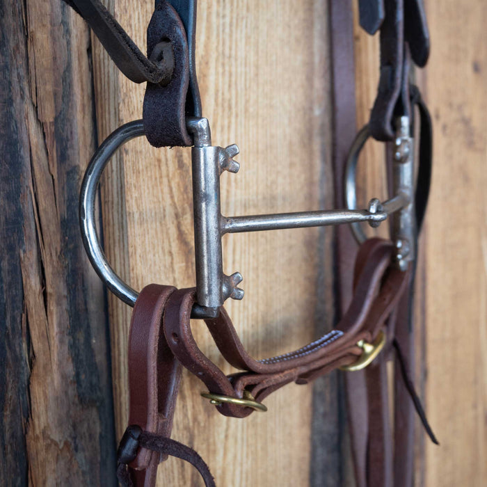 D-Ring Snaffle Bridle Rig w/All New Leather