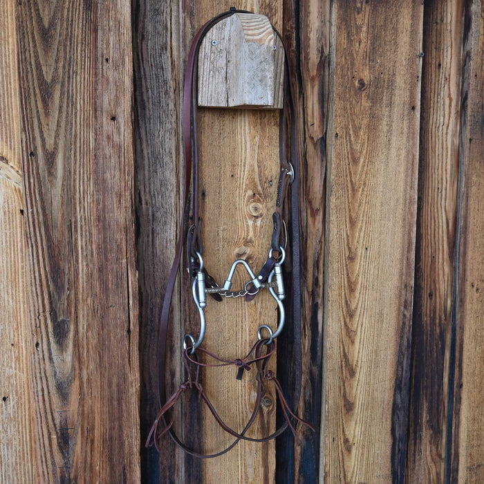 "Horse Bits" Correction Bridle Rig w/Split Ear Headstall