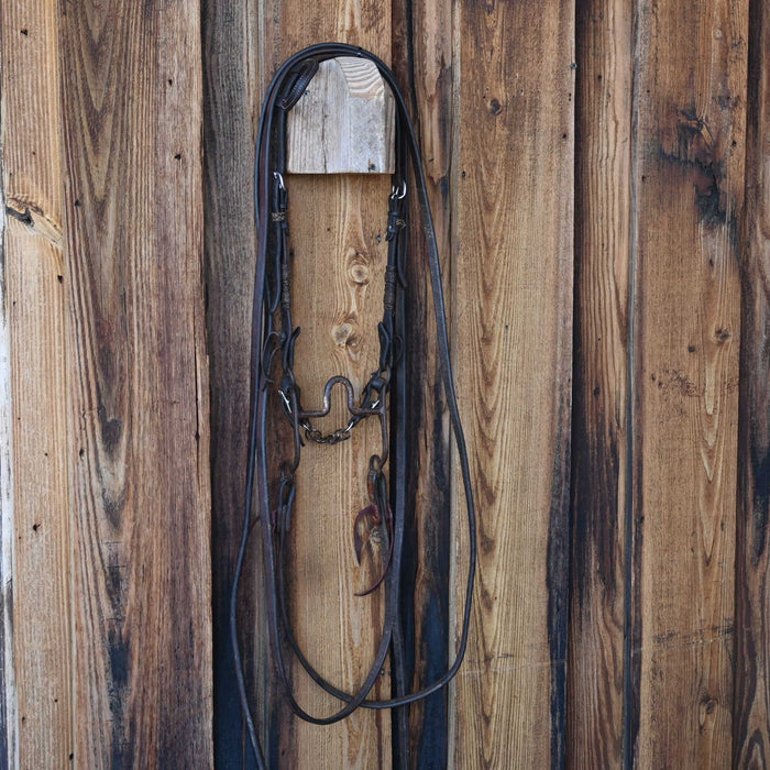 Solid Port Bridle Rig w/Single Ear Headstall