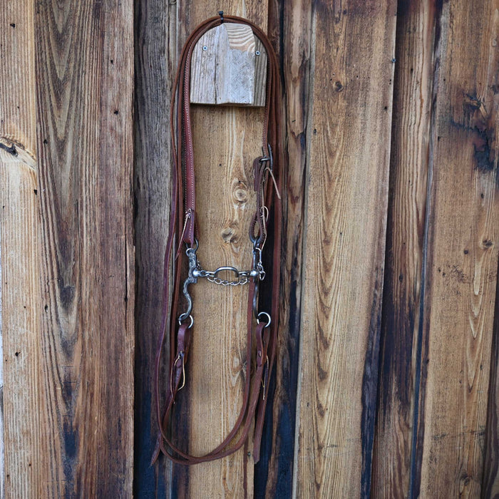 "DK" Ported Chain Bridle Rig w/Split Ear Headstall