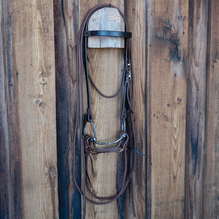 Frizzel D-Ring Snaffle Bridle Rig w/All New Leather