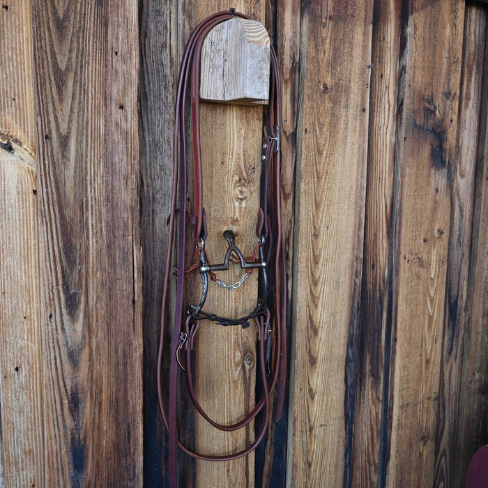 Kerry Kelley 65 Cathedral Bridle Rig w/All New Leather