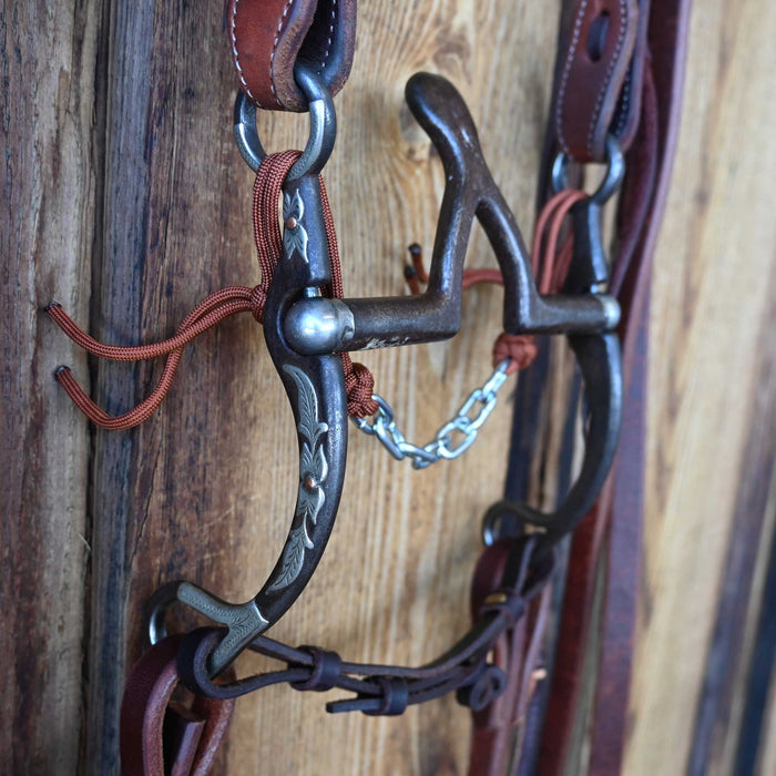 Kerry Kelley 65 Cathedral Bridle Rig w/All New Leather