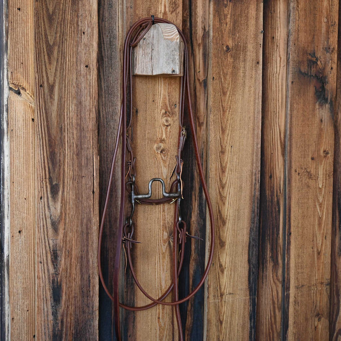 Trammell Solid Port Bridle Rig w/Single Ear Headstall Tack - Rigs Trammell