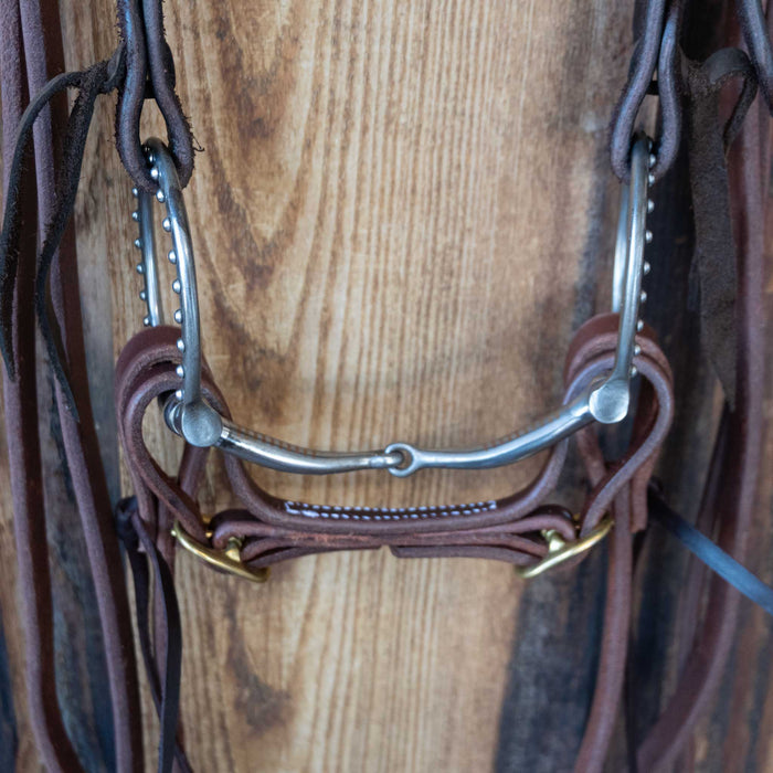 Frizzel D-Ring Snaffle Bridle Rig w/All New Leather