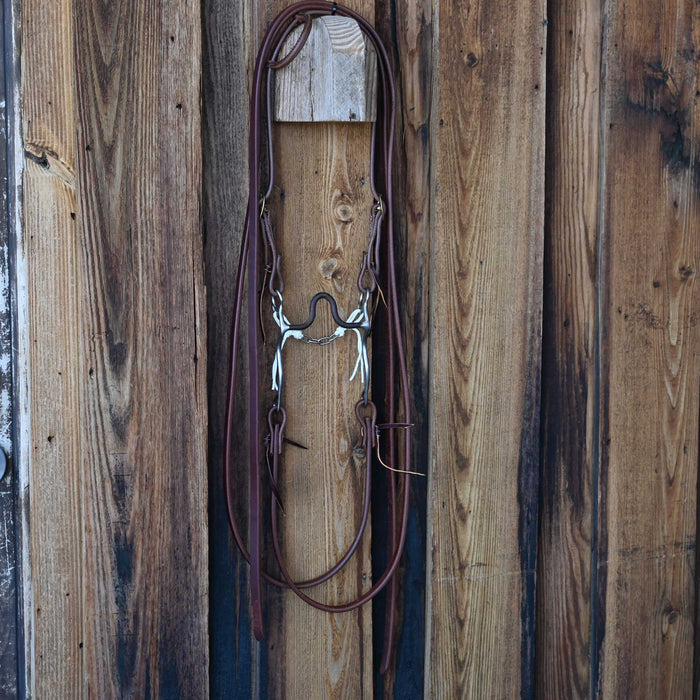 EJF Solid Port Bridle Rig w/All New Leather Tack - Rigs EJF