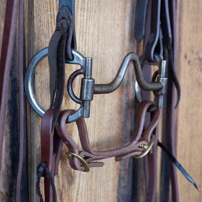 Locked O-Ring V-Port Bridle Rig w/All New Leather