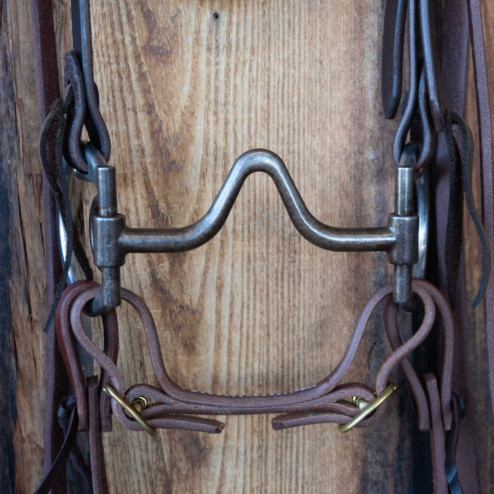 Locked O-Ring V-Port Bridle Rig w/All New Leather