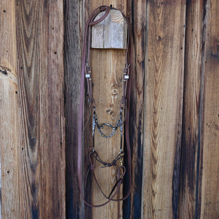 Josh Ownbey Ported Chain Bridle Rig w/Single Ear Headstall