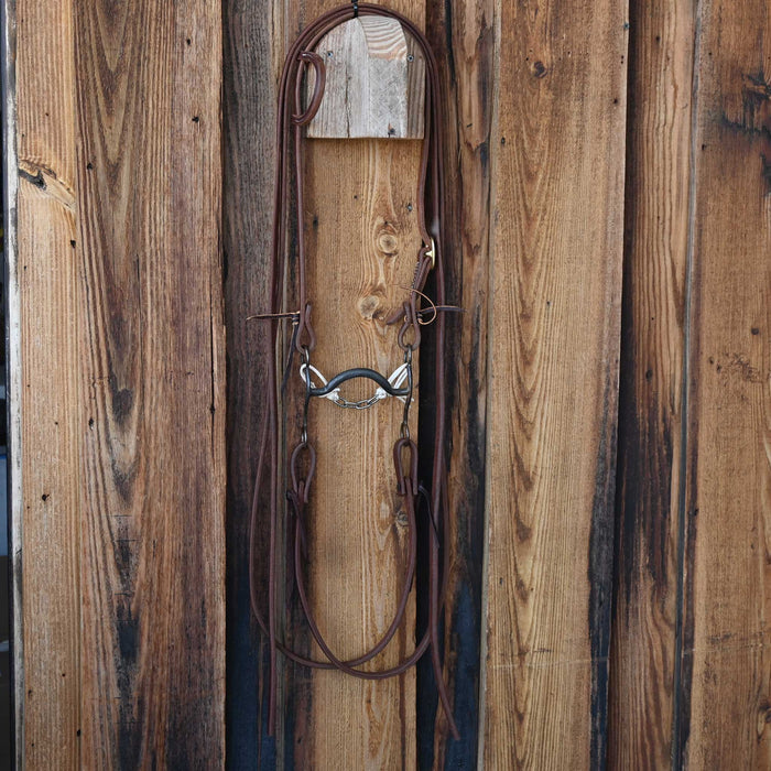 Solid Port Bridle Rig w/All New Leather Tack - Rigs misc