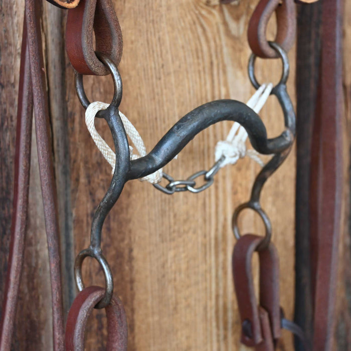 Solid Port Bridle Rig w/All New Leather Tack - Rigs misc