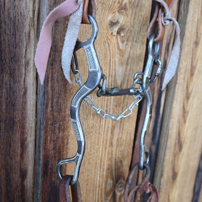 Jason Sinclair Ported Chain Bridle Rig w/Split Ear Headstall