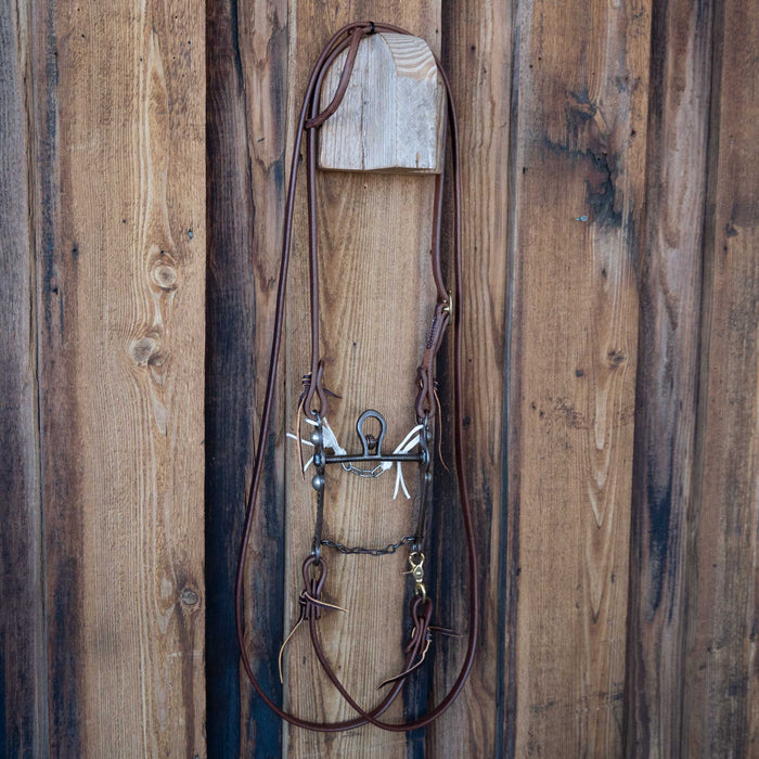 Cathedral Bridle Rig w/All New Leather