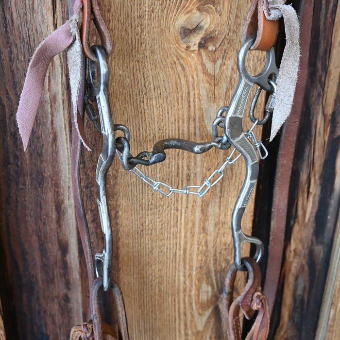 Jason Sinclair Ported Chain Bridle Rig w/Split Ear Headstall