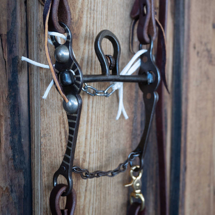 Cathedral Bridle Rig w/All New Leather