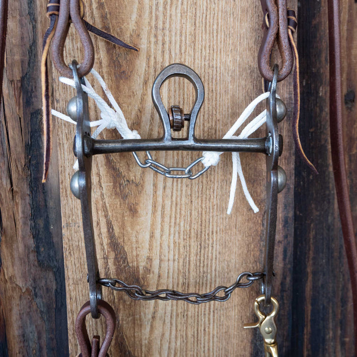 Cathedral Bridle Rig w/All New Leather