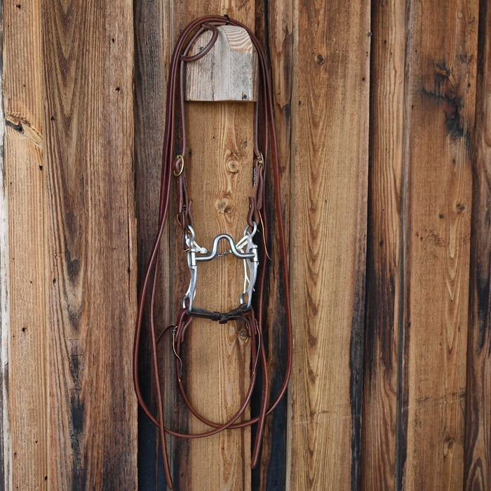 Bill Freeman Solid Port Bridle Rig w/All New Leather Tack - Rigs Bill Freeman